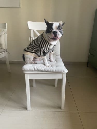 Marlo